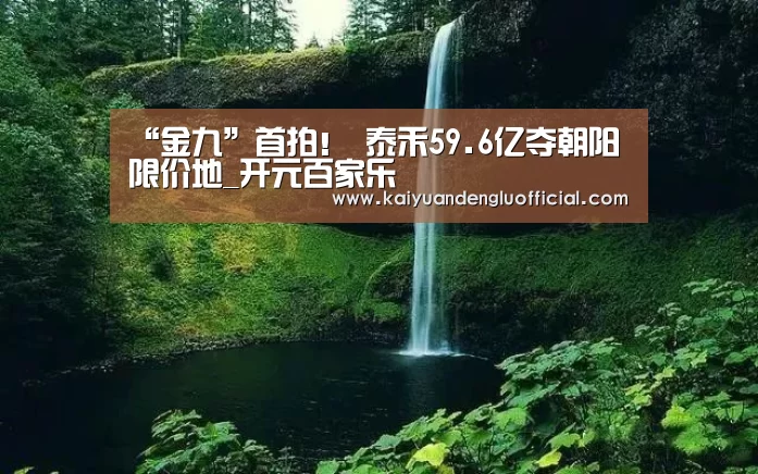 “金九”首拍! 泰禾59.6亿夺朝阳限价地_开元百家乐(图1) 开元直播