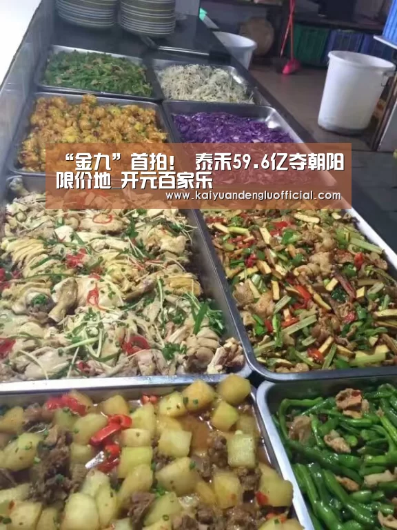 “金九”首拍! 泰禾59.6亿夺朝阳限价地_开元百家乐(图3) 开元直播