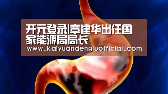 开元登录|章建华出任国家能源局局长(图1) 开元电竞