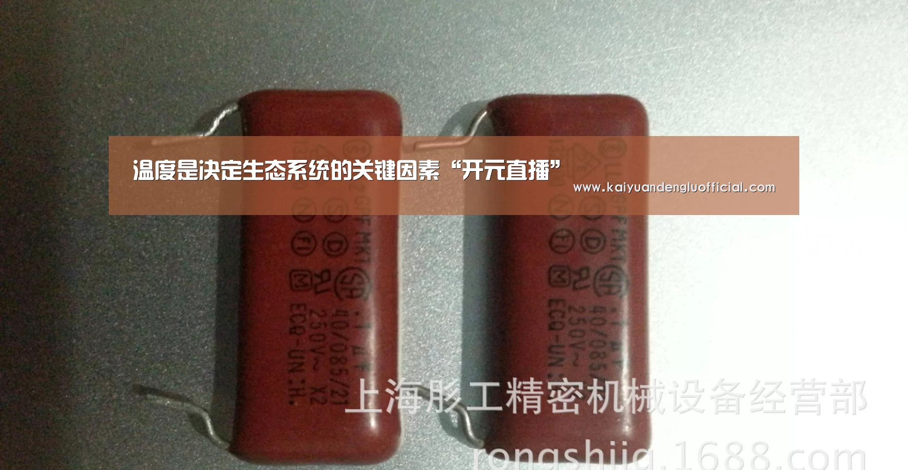 温度是决定生态系统的关键因素“开元直播”(图1) 开元百家乐